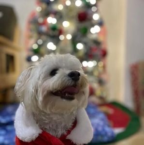 Meet your Posher, Ricky